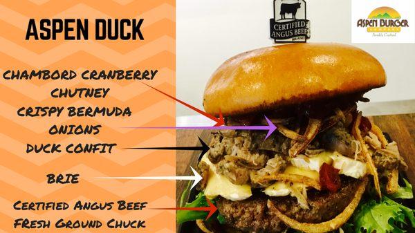 Anatomy of Aspen Duck