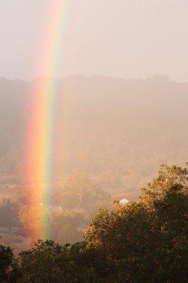 Rainbow over the vineyard