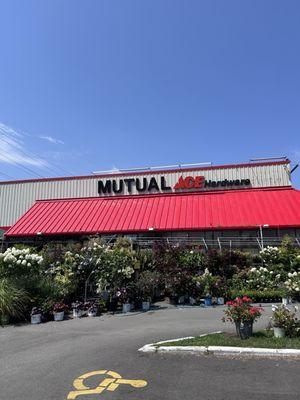 Mutual Rentals