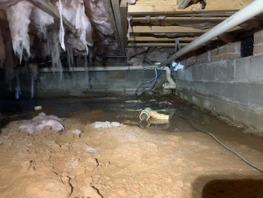 Crawl space that is producing mold growth do to water high humidity no vapor barrier