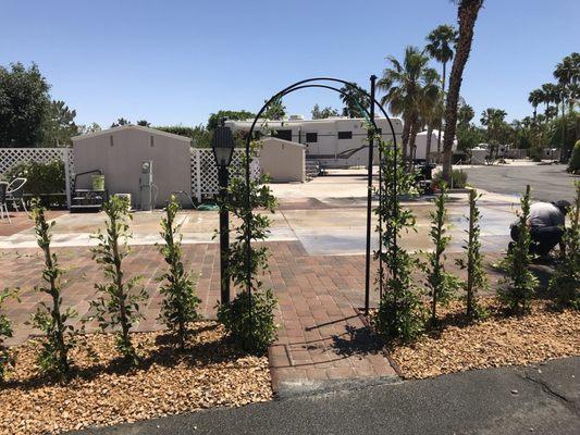 Give your yard a romantic entry with an archway