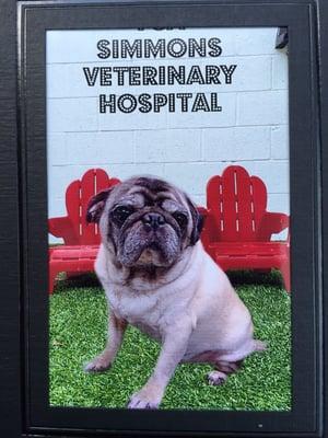 Rocket is feeling better after his visit. And they gave me this adorable photo of him!