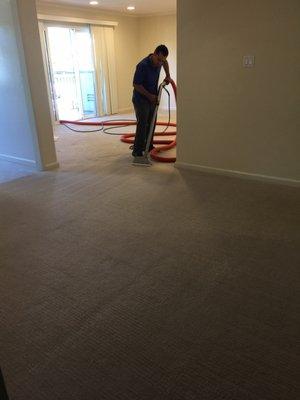 professional carpet cleaning before moveout