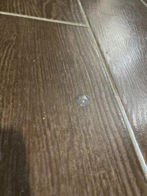 A used contact lens found on the floor