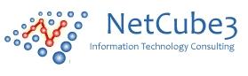 NetCube3