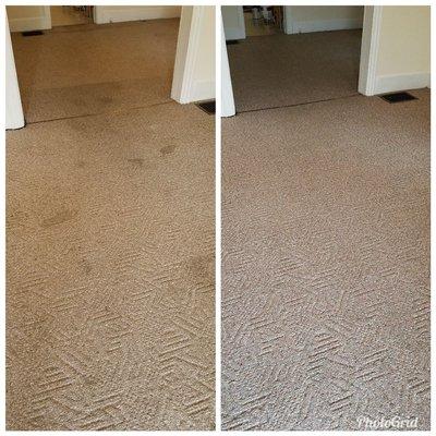 Carpet cleaning