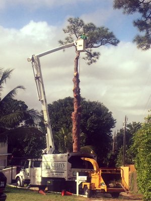 Bucket truck in ACTION