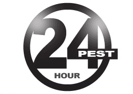 24 Hour Termite & Pest