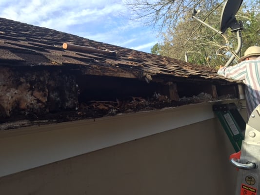 Rotted and damaged fascia, rafters, and decking