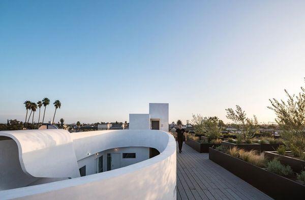 Rooftop deck with city and skyline views.  Community rooftop vegetable garden with barbeque grills