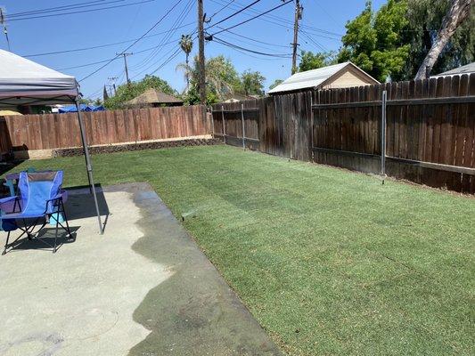 Sod day of installation