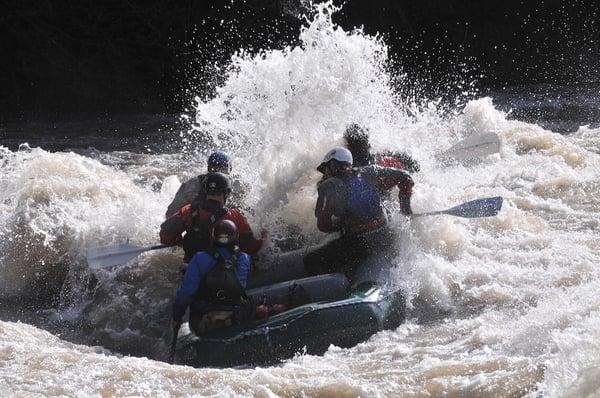 Whitewater Rafting the Gallatin River!