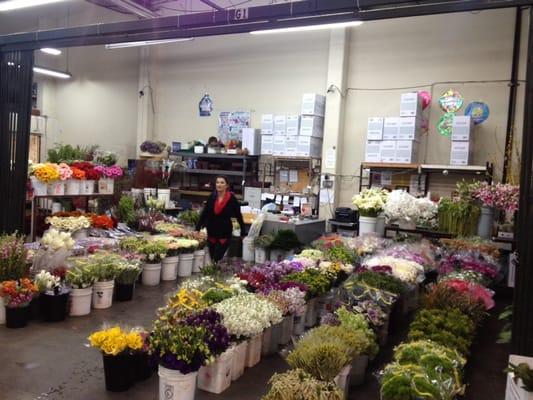 Wholesale Flowers