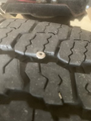 This little bugger was in my tire.