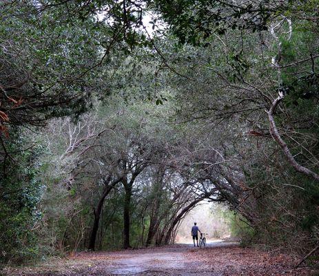 Mountain bike photo tour at Jack Brooks Park