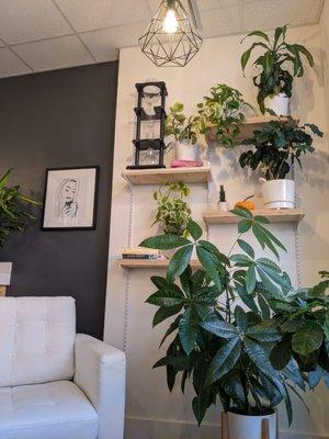 Isn't every space better with live plants?