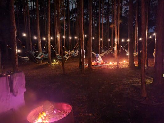 Meditation & sound bath in pine forest hammocks