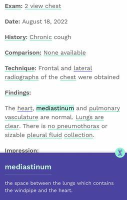 Scanslated patient report of my X Ray