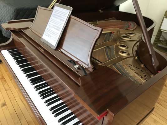 One of our fine pianos- A 1925 restored Steinway A3