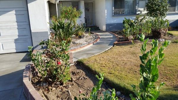 Residential concrete: driveway and walkway replacement.  San Dimas, CA