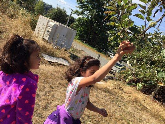 Kids can pick apples at the event.