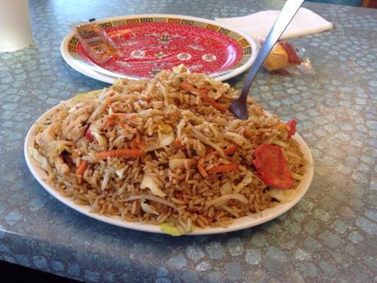 Mountain of fried rice for 7 bucks.