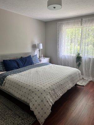 Indoor painting project: master bedroom walls and ceiling.