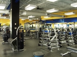 Free Weights