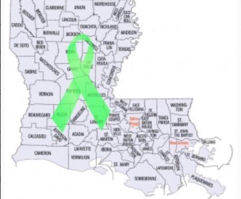 Louisiana Lyme Association