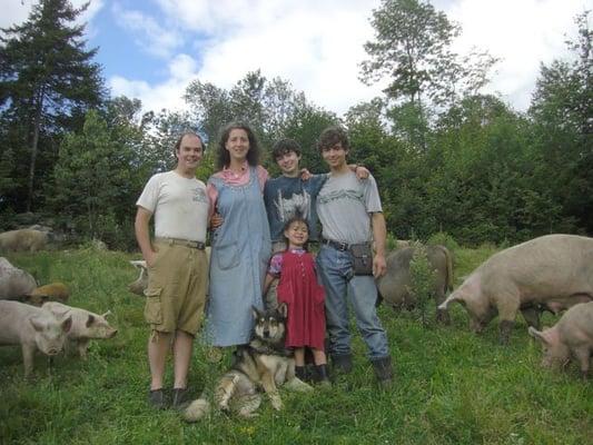 The Jeffries, Dog and Pigs on Sugar Mountain Farm south field.