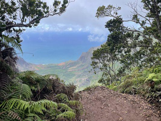 Our view at the top of Waimea Canyon (entry is in the town of Waimea)