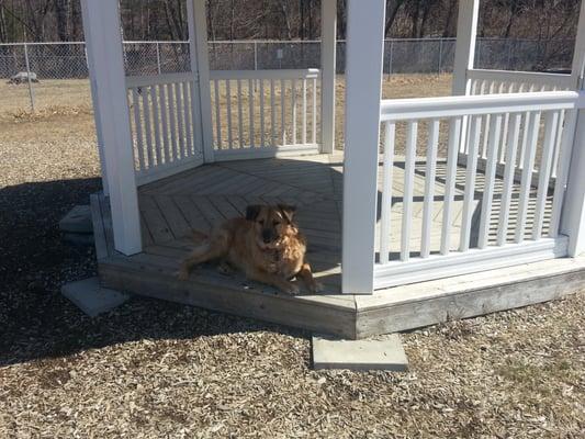 Enjoying the gazebo