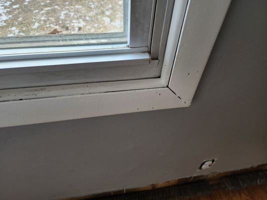 Window issues