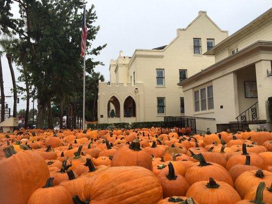 The best pumpkin patch in St Augustine... is at a church!