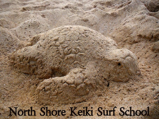 Sand Honu