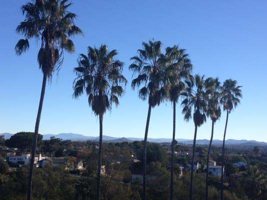 view from master balcony