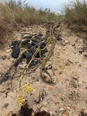 debris littering our beaches