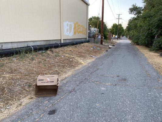 Boxes that blow all over the neighborhood along with the other garbage.