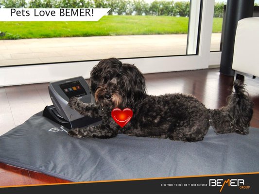 We offer Bemer therapy for clients and their furry family members. Call us for more info.