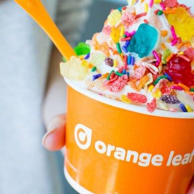 Orange Leaf Frozen Yogurt