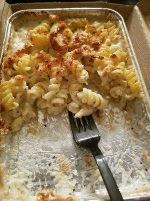 Pasta alfredo