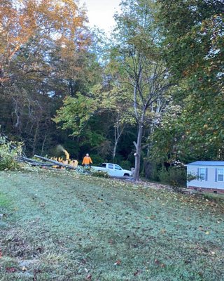 took down 14 trees around this place leaning towards or around the house