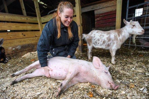 "Elda"  jumped off a slaughter truck as a baby after she was taken from her mother & was headed to a fattening farm.