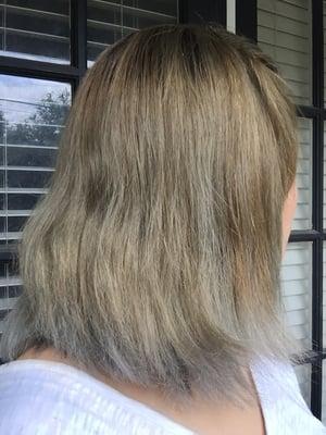 I went in for a grey/ platinum ombre and an a-line cut. I left with a mix of light brown and grey and frizzy, damaged ends.