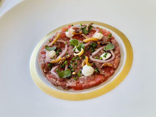 Lamb tartare