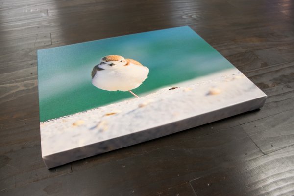 Our gallery wrapped canvas start at $36.00 for an 8 x 10.