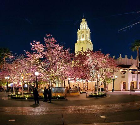 Disney California Adventure looking gorgeous at night! The tower in the back reminds me of Pasadena City Hall.