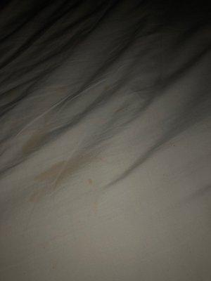 Stained sheets