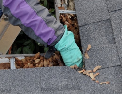 gutter cleaning