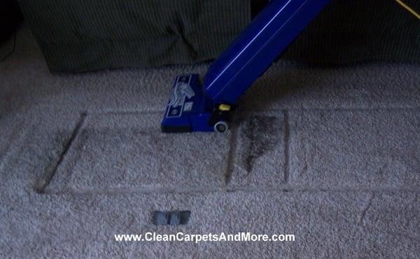 Clean Carpets & More